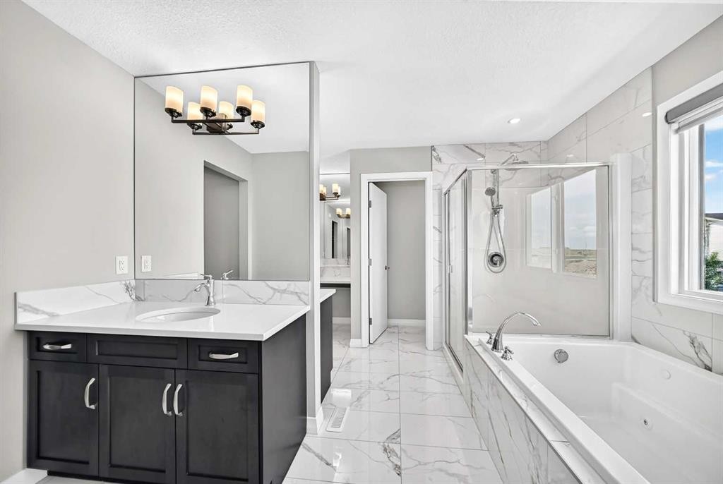 293 Red Sky Way Ne, Calgary, AB - Indoor Photo Showing Bathroom
