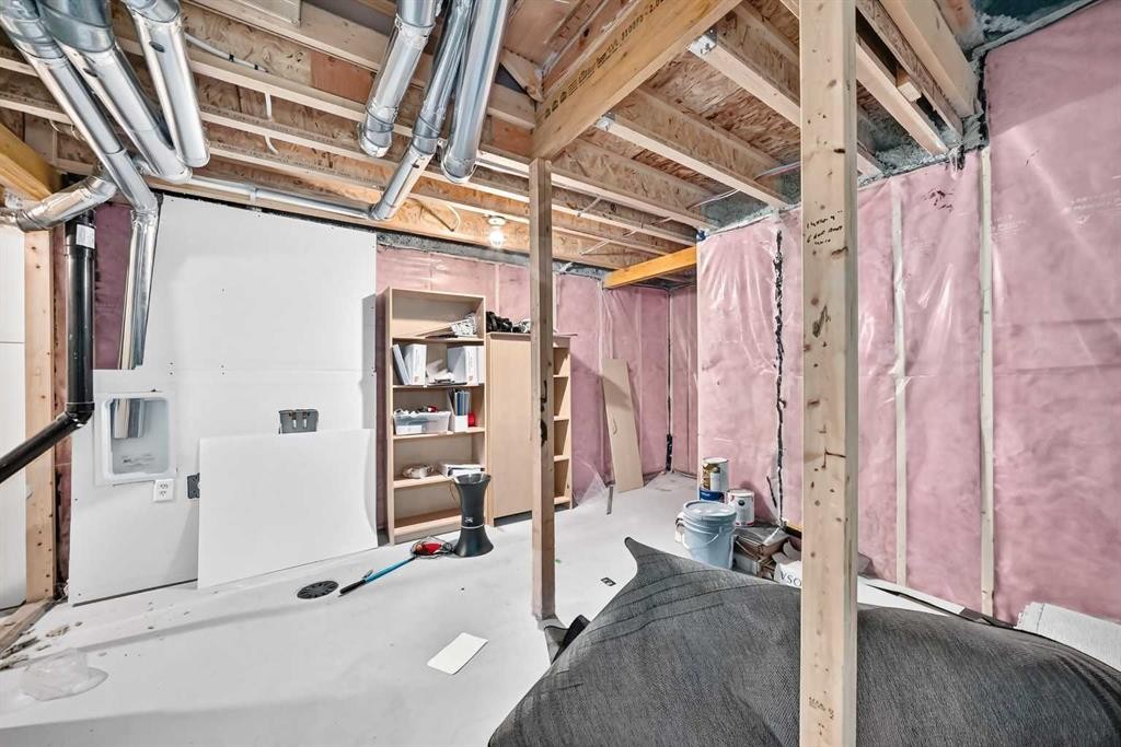 293 Red Sky Way Ne, Calgary, AB - Indoor Photo Showing Basement