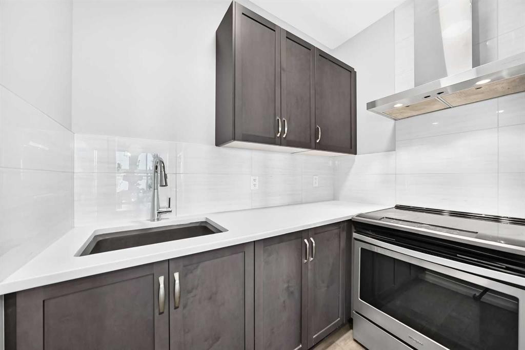 293 Red Sky Way Ne, Calgary, AB - Indoor Photo Showing Kitchen With Upgraded Kitchen