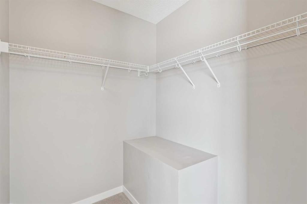 409 Copperpond Landing Se, Calgary, AB - Indoor With Storage