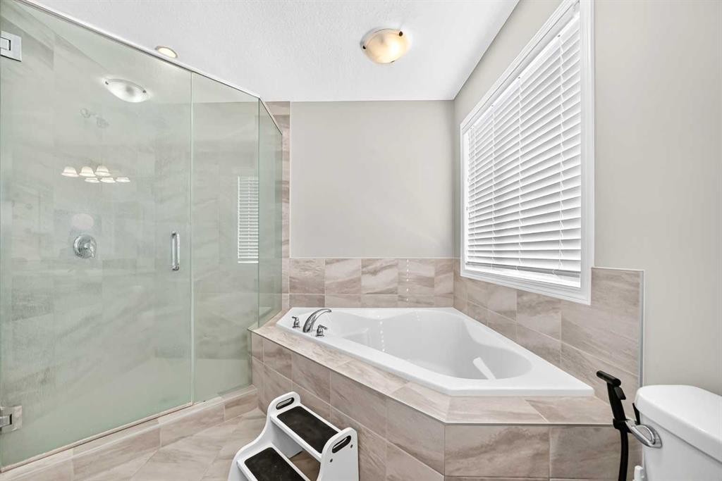 247 Cityscape Way Ne, Calgary, AB - Indoor Photo Showing Bathroom
