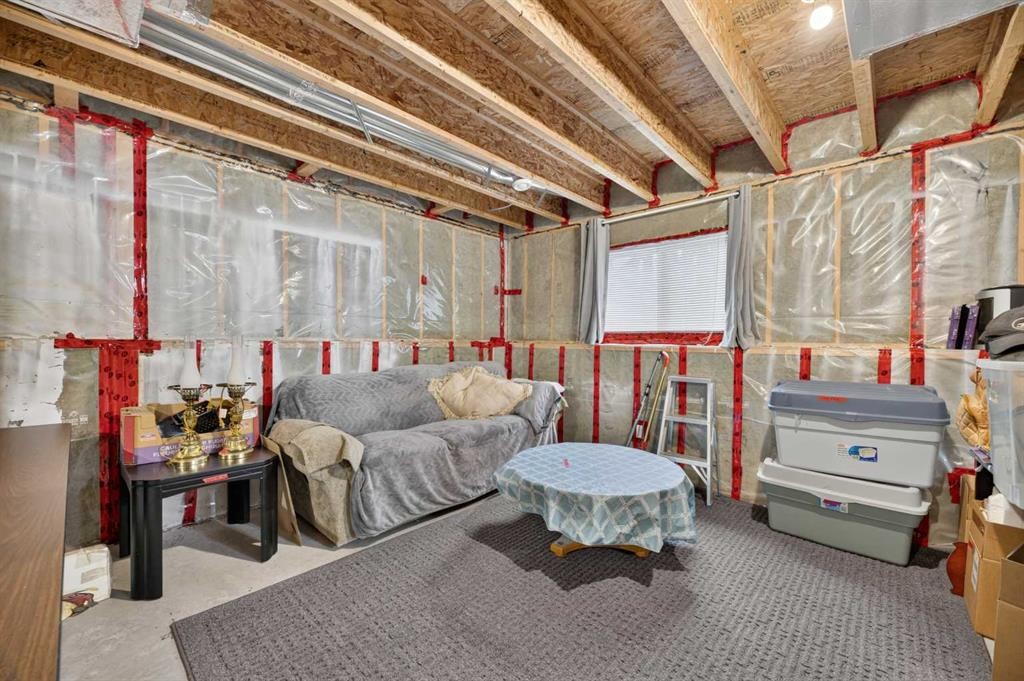 41 Deer Coulee Drive, Didsbury, AB - Indoor Photo Showing Basement