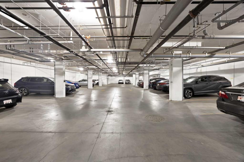 3315-33 Carringham Gate Nw, Calgary, AB - Indoor Photo Showing Garage