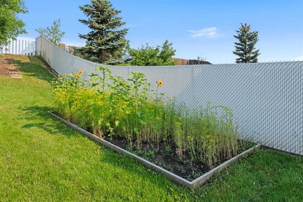 14538 37 Street Nw, Edmonton, AB - Outdoor