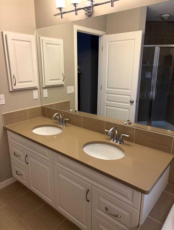 264 Auburn Bay Drive Se, Calgary, AB - Indoor Photo Showing Bathroom
