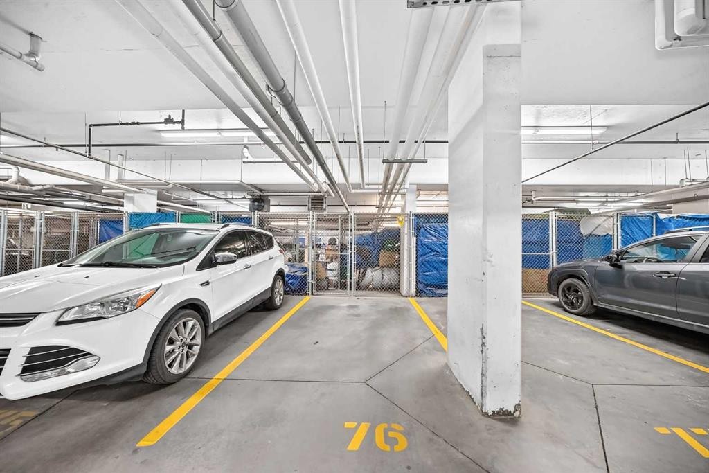 1210-95 Burma Star Road Sw, Calgary, AB - Indoor Photo Showing Garage