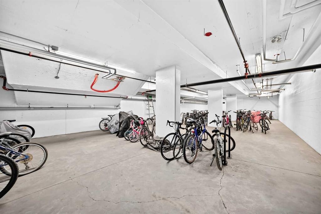 1210-95 Burma Star Road Sw, Calgary, AB - Indoor Photo Showing Garage