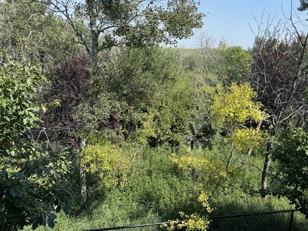 60 New Brighton Point Se, Calgary, AB - Outdoor