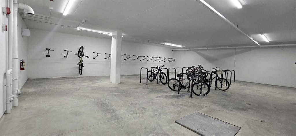 516-8230 Broadcast Avenue Sw, Calgary, AB - Indoor Photo Showing Garage