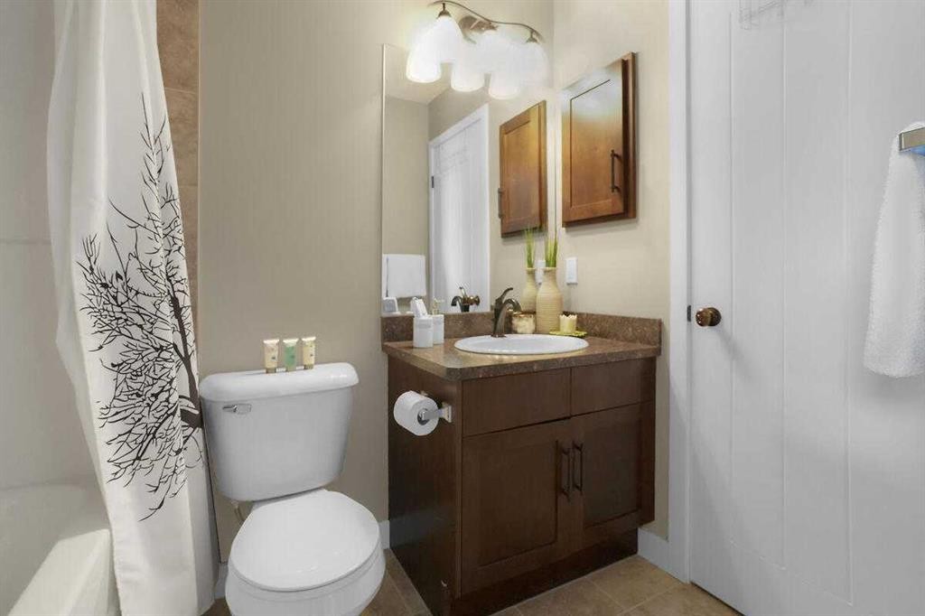460 Seclusion Valley Drive, Diamond Valley, AB - Indoor Photo Showing Bathroom