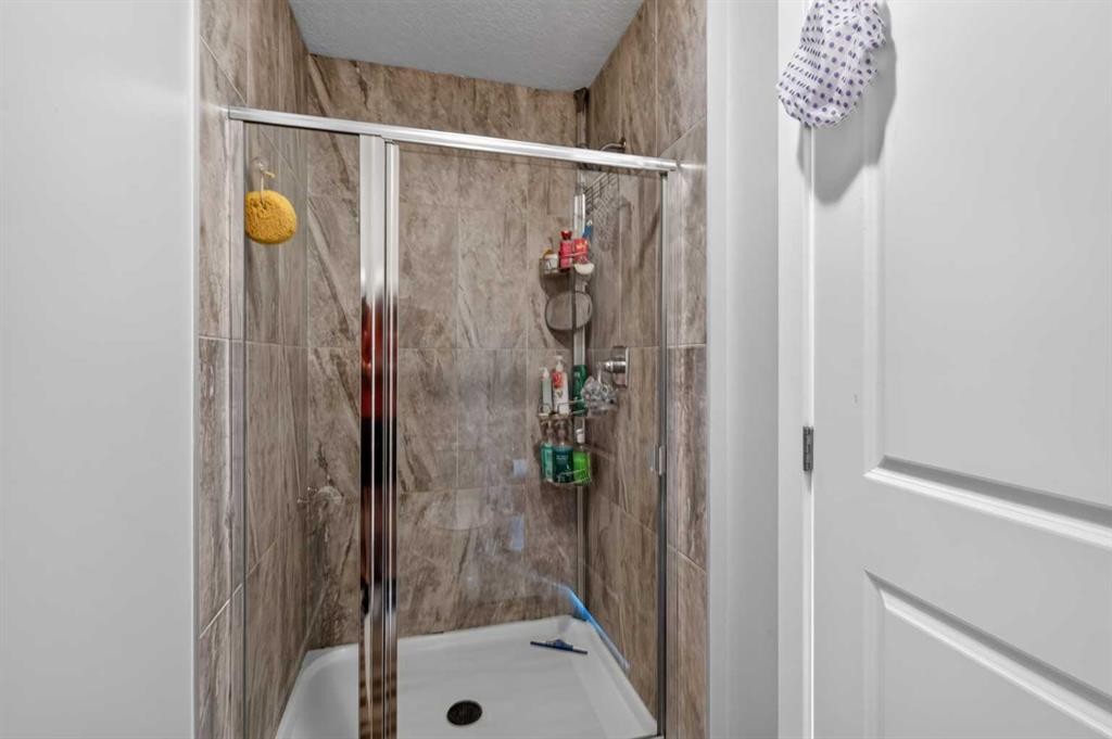 45 Saddlestone Drive Ne, Calgary, AB - Indoor Photo Showing Bathroom