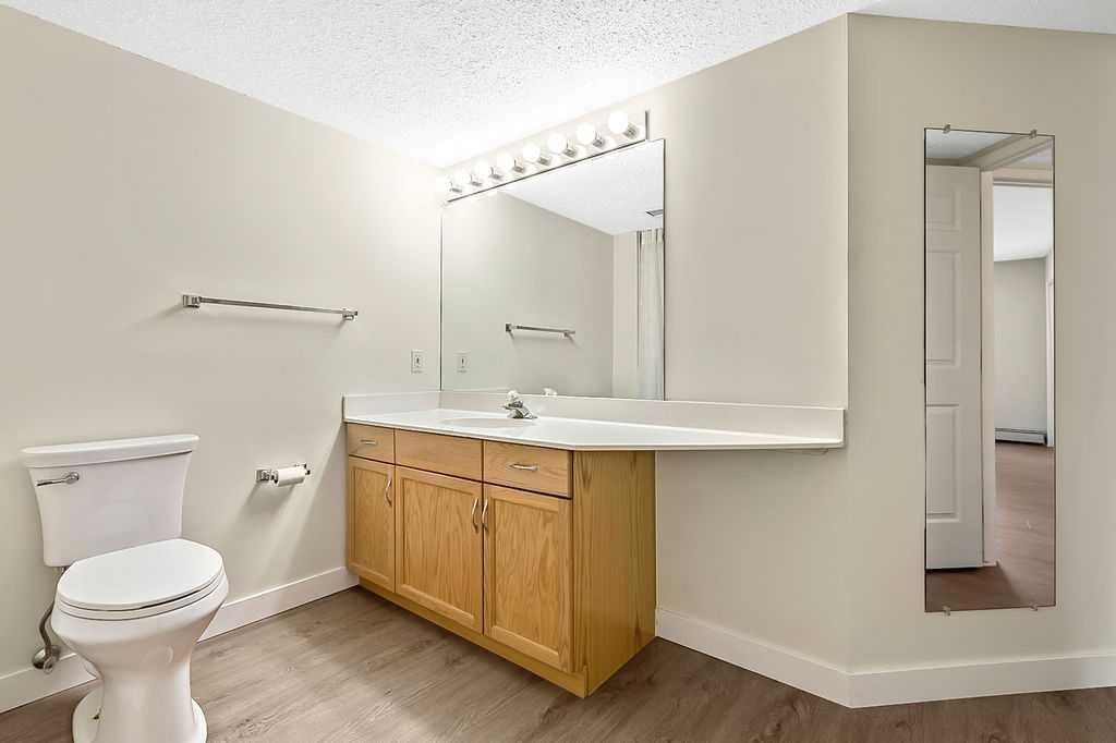 1103-1103 Hawksbrow Point Nw, Calgary, AB - Indoor Photo Showing Bathroom