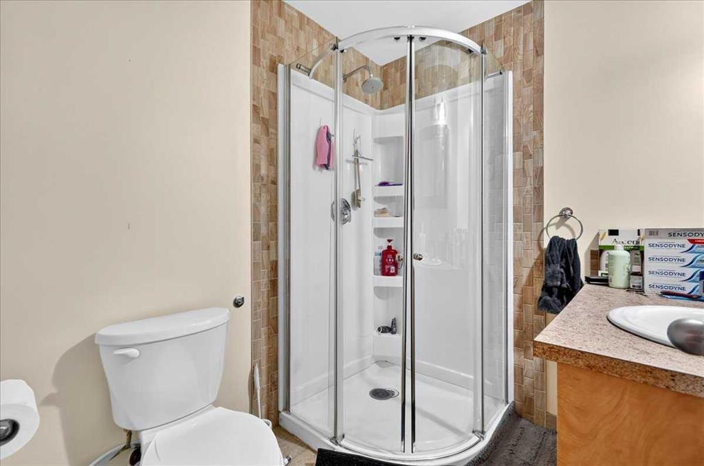 3911 1 Street Nw, Calgary, AB - Indoor Photo Showing Bathroom