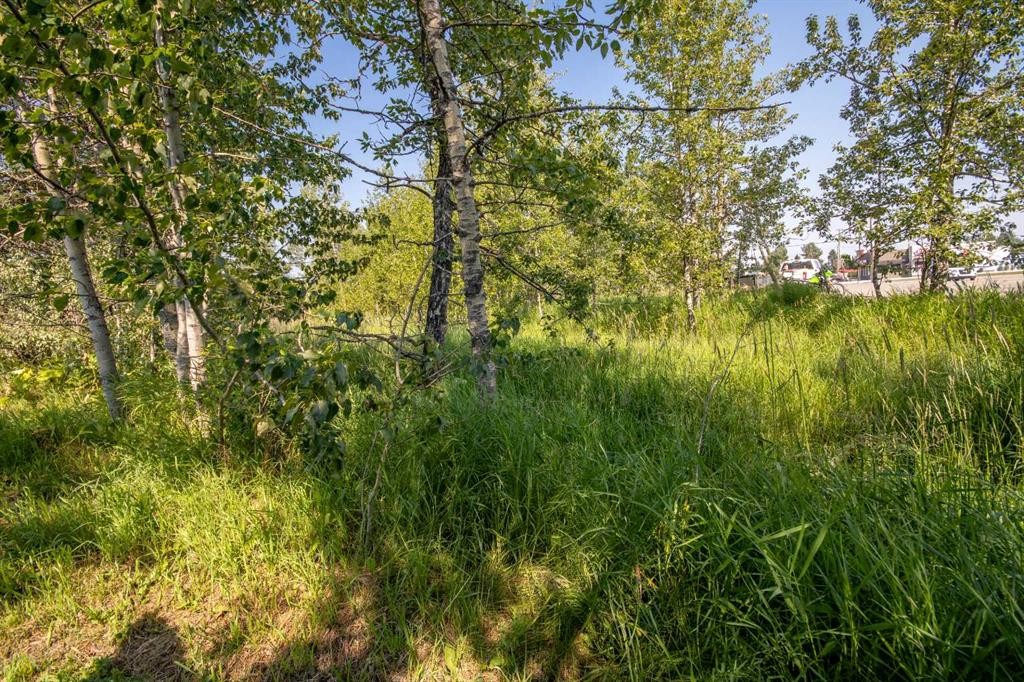 550 4 Avenue Sw, Sundre, AB - Outdoor With View