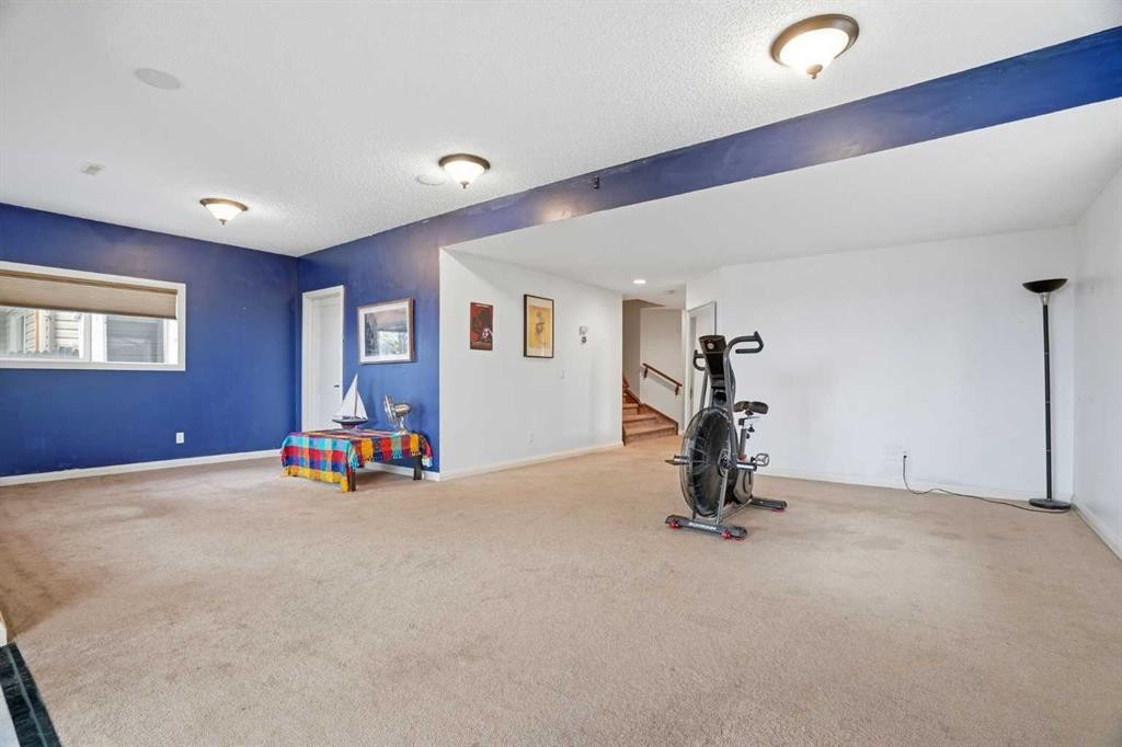 113 Sunset View, Cochrane, AB - Indoor Photo Showing Gym Room