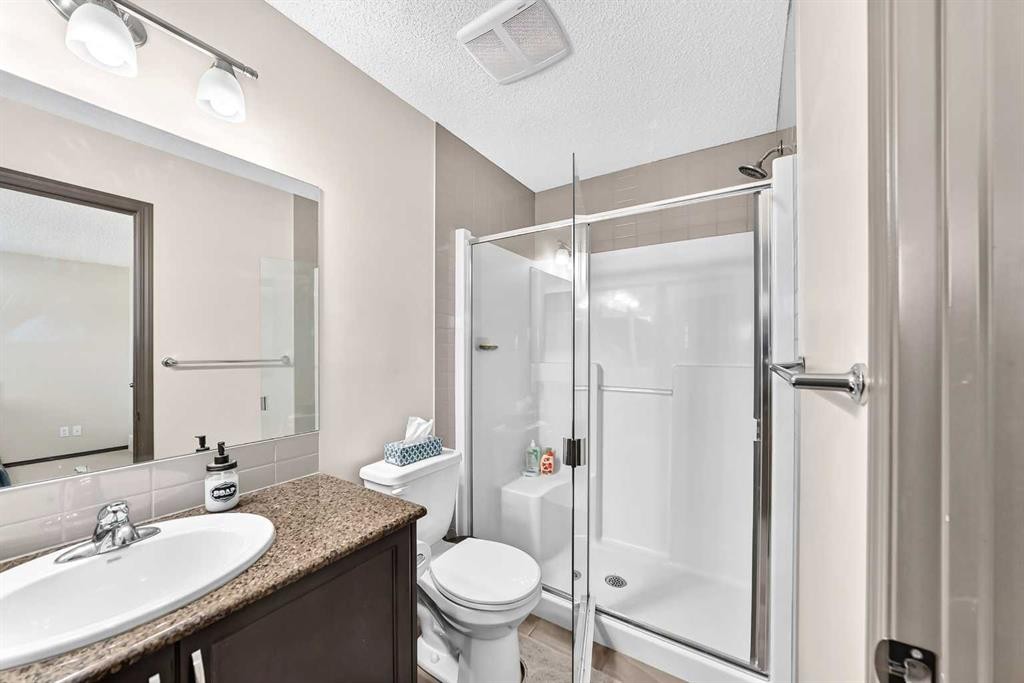 251 Skyview Point Road Ne, Calgary, AB - Indoor Photo Showing Bathroom