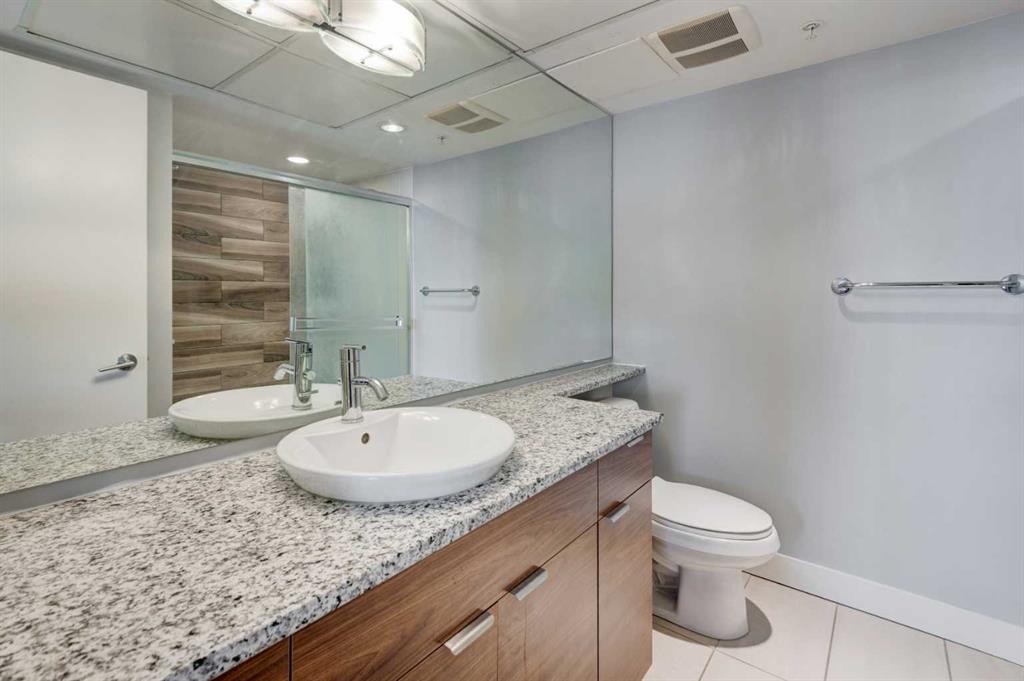 504-1110 11 Street Sw, Calgary, AB - Indoor Photo Showing Bathroom
