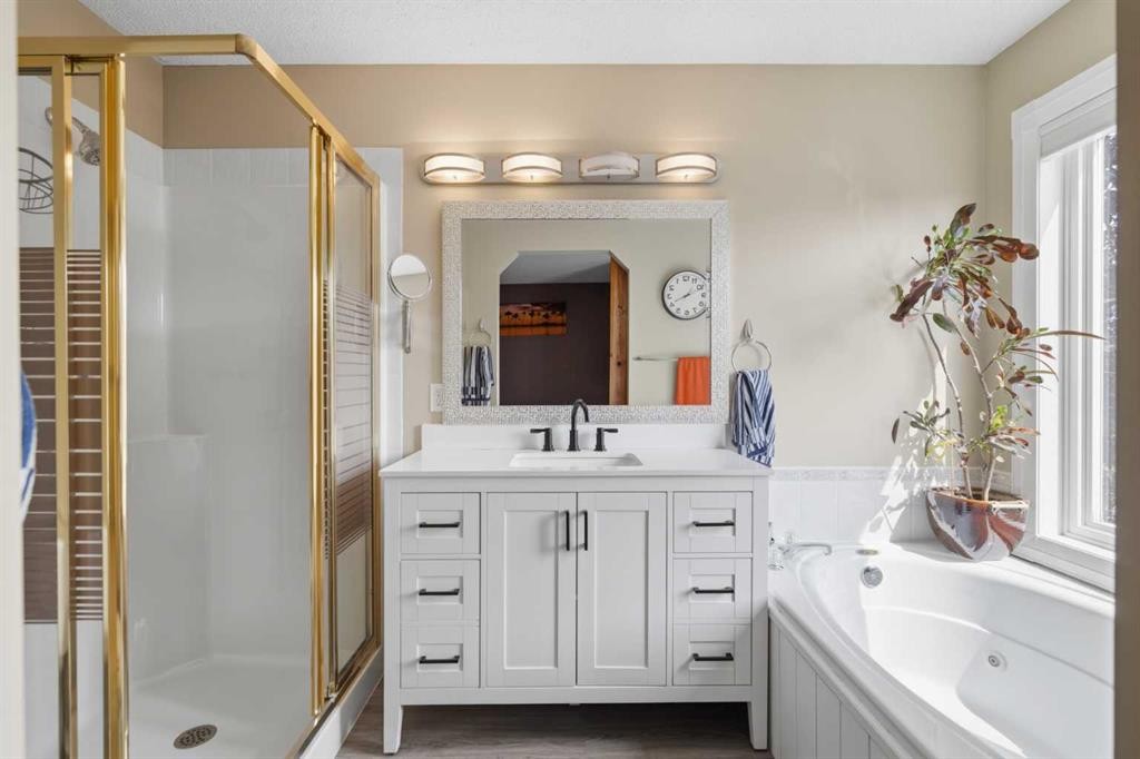 142 Riverview Circle Se, Calgary, AB - Indoor Photo Showing Bathroom