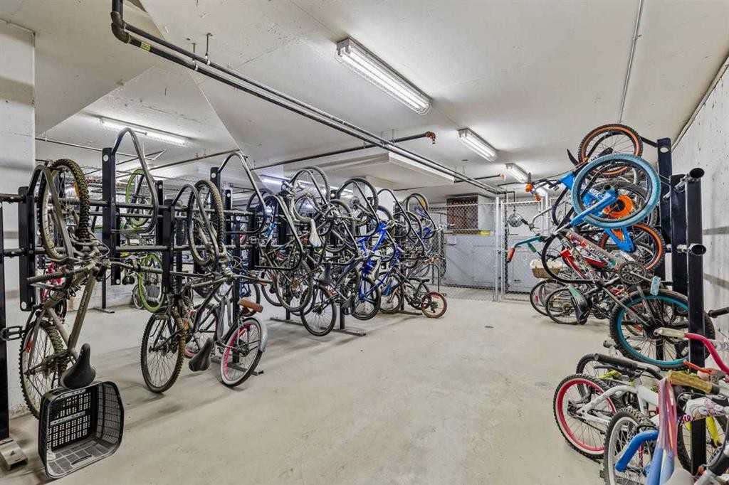 2201-81 Legacy Boulevard Se, Calgary, AB - Indoor Photo Showing Garage