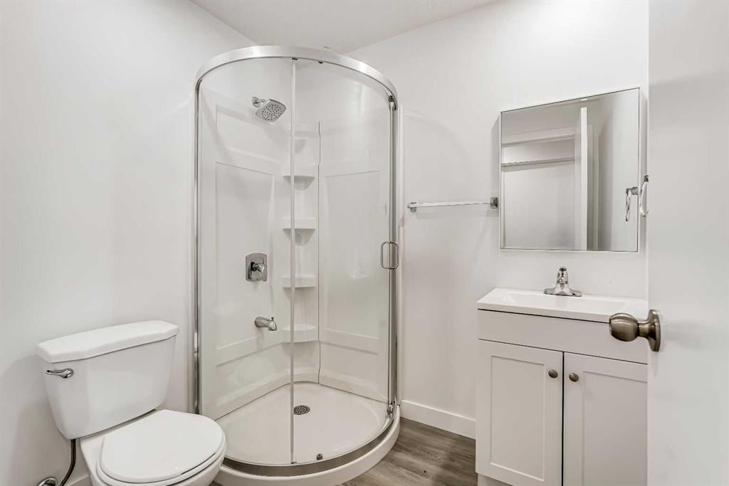 163 Saddlemont Crescent Ne, Calgary, AB - Indoor Photo Showing Bathroom