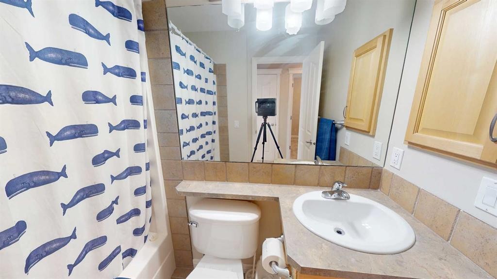 47 Chapman Circle Se, Calgary, AB - Indoor Photo Showing Bathroom