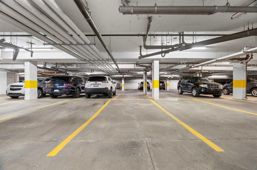 411-28 Auburn Bay Link Se, Calgary, AB - Indoor Photo Showing Garage