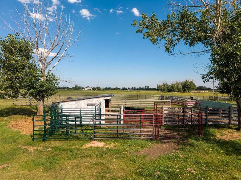 466054 113 Street East, Rural Foothills County, AB - Outdoor With View