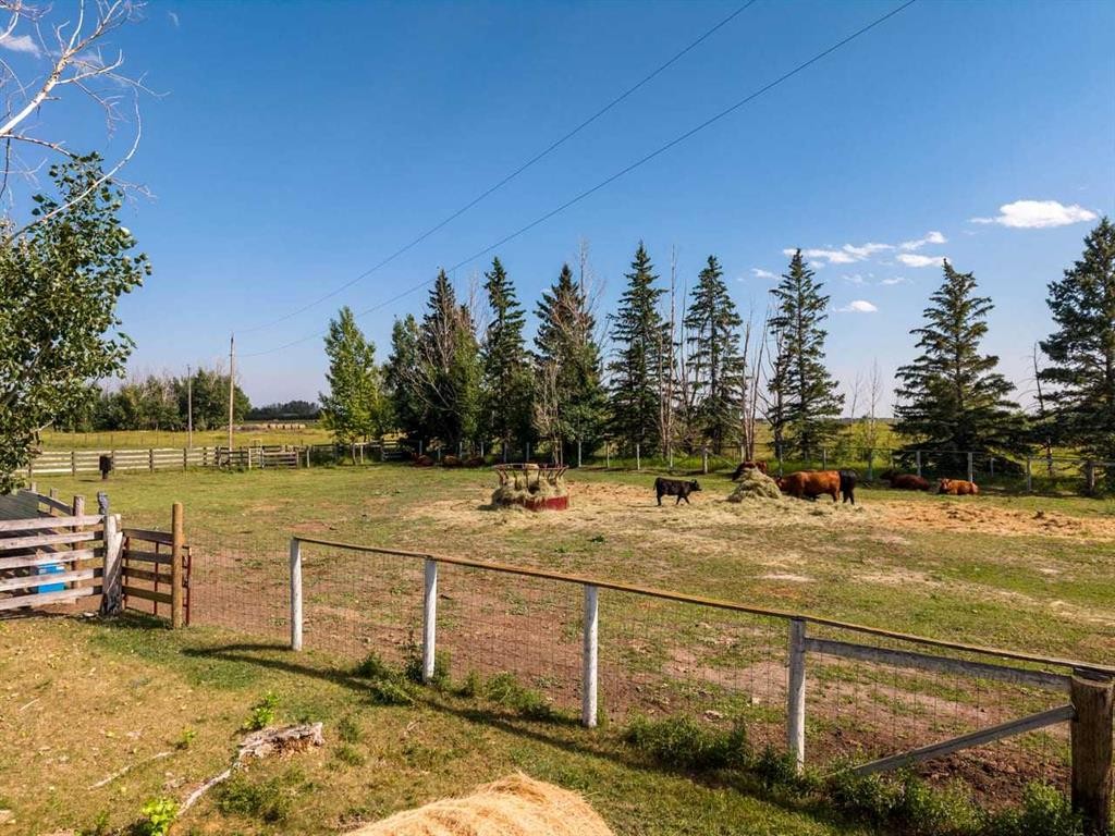 466054 113 Street East, Rural Foothills County, AB - Outdoor