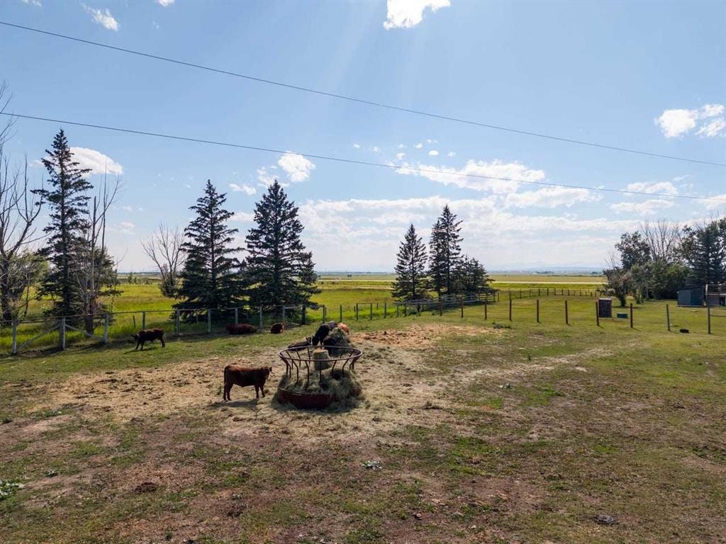 466054 113 Street East, Rural Foothills County, AB - Outdoor With View