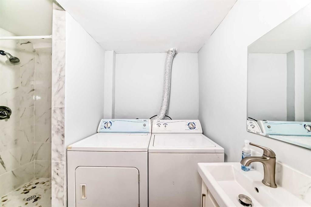 77 Martinbrook Road Ne, Calgary, AB - Indoor Photo Showing Laundry Room