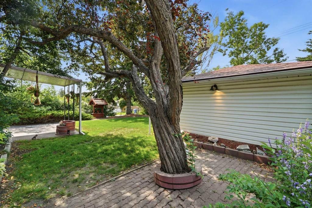 13 Tipton Place Nw, Calgary, AB - Outdoor