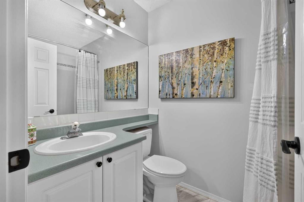37 Beddington Gardens Ne, Calgary, AB - Indoor Photo Showing Bathroom