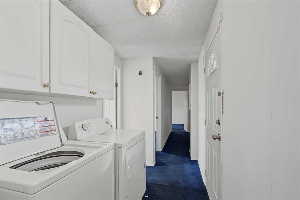 145 Spring Haven Mews Se, Airdrie, AB - Indoor Photo Showing Laundry Room
