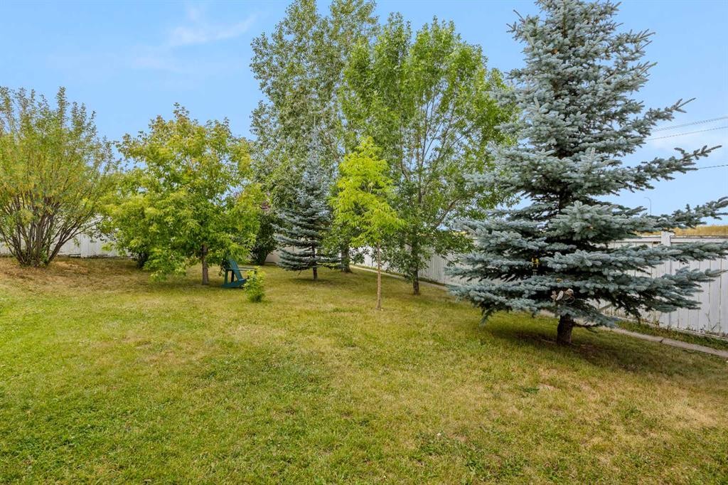 117 Hidden Spring Circle Nw, Calgary, AB