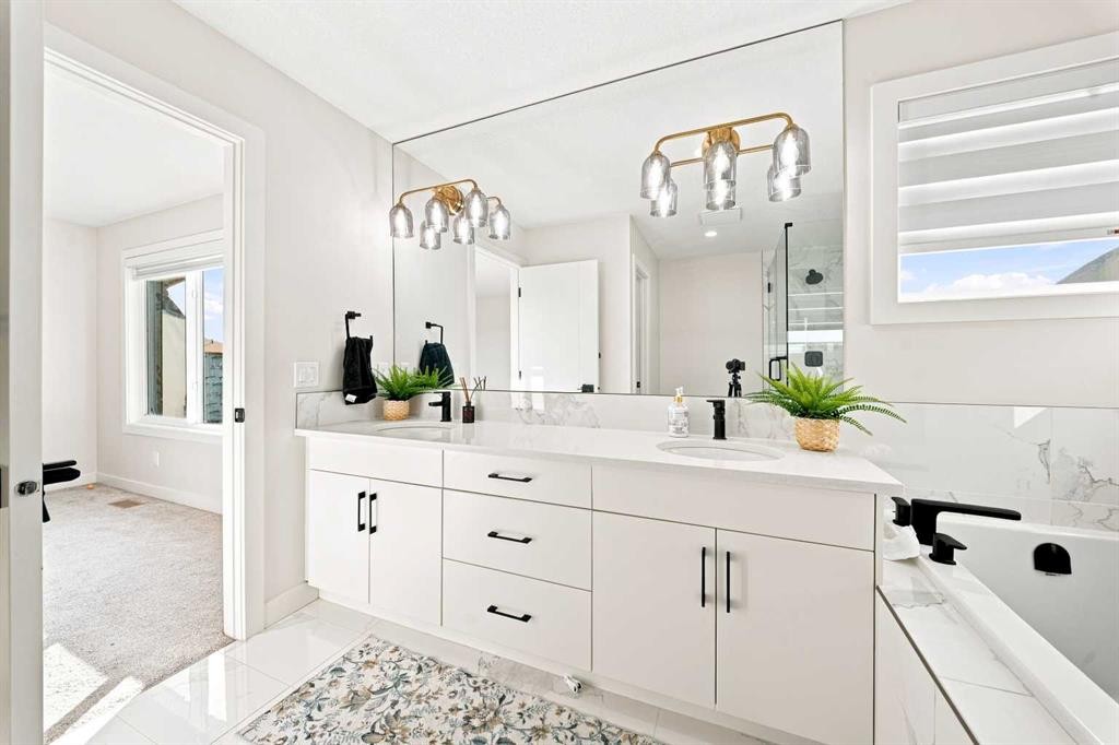 303 Cornerbrook Drive Ne, Calgary, AB - Indoor Photo Showing Bathroom