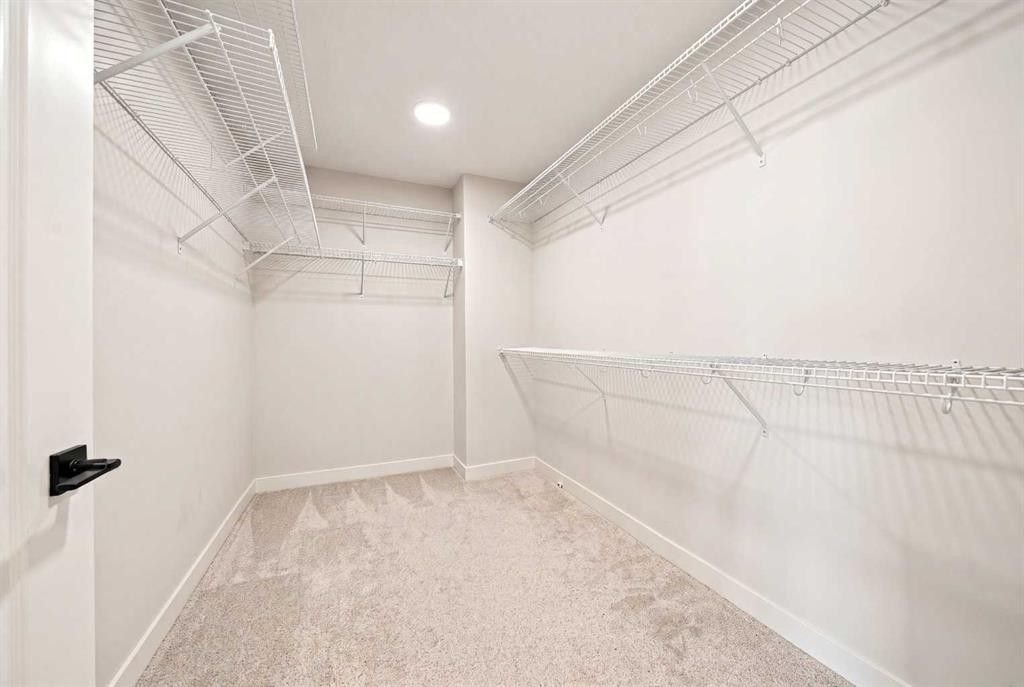 303 Cornerbrook Drive Ne, Calgary, AB - Indoor With Storage