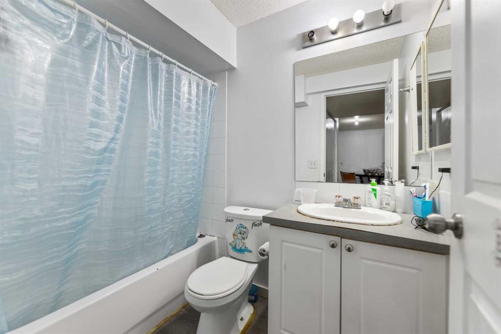 5036 Martin Crossing Drive Ne, Calgary, AB - Indoor Photo Showing Bathroom