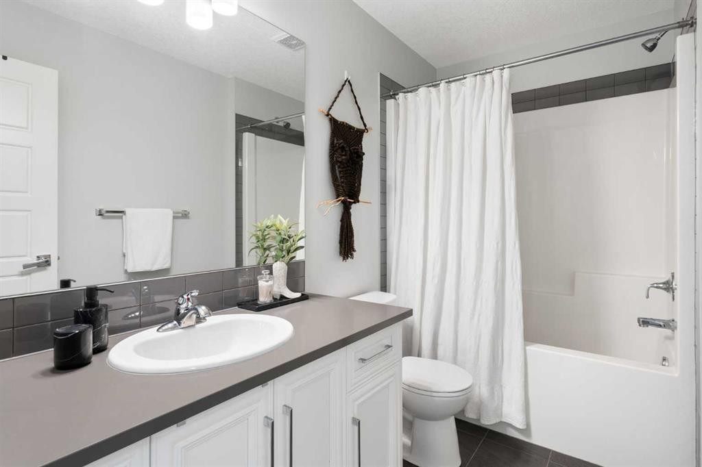 56 Skyview Circle Ne, Calgary, AB - Indoor Photo Showing Bathroom