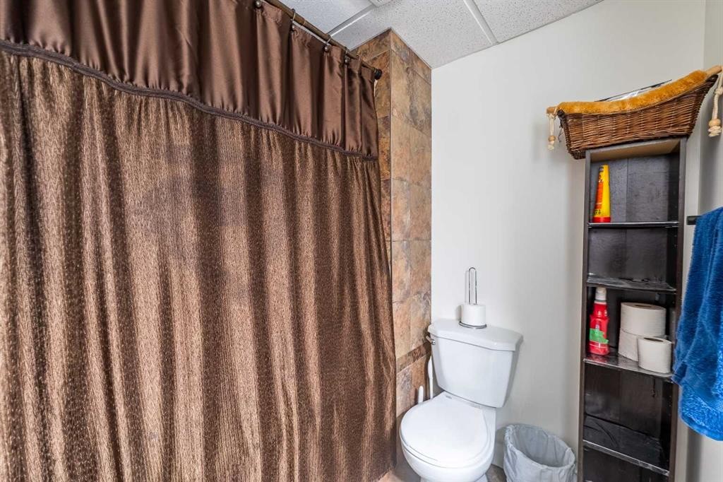 44 Templehill Drive Ne, Calgary, AB - Indoor Photo Showing Bathroom