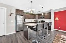 551 Redstone View Ne, Calgary, AB  - Indoor Photo Showing Kitchen With Upgraded Kitchen 