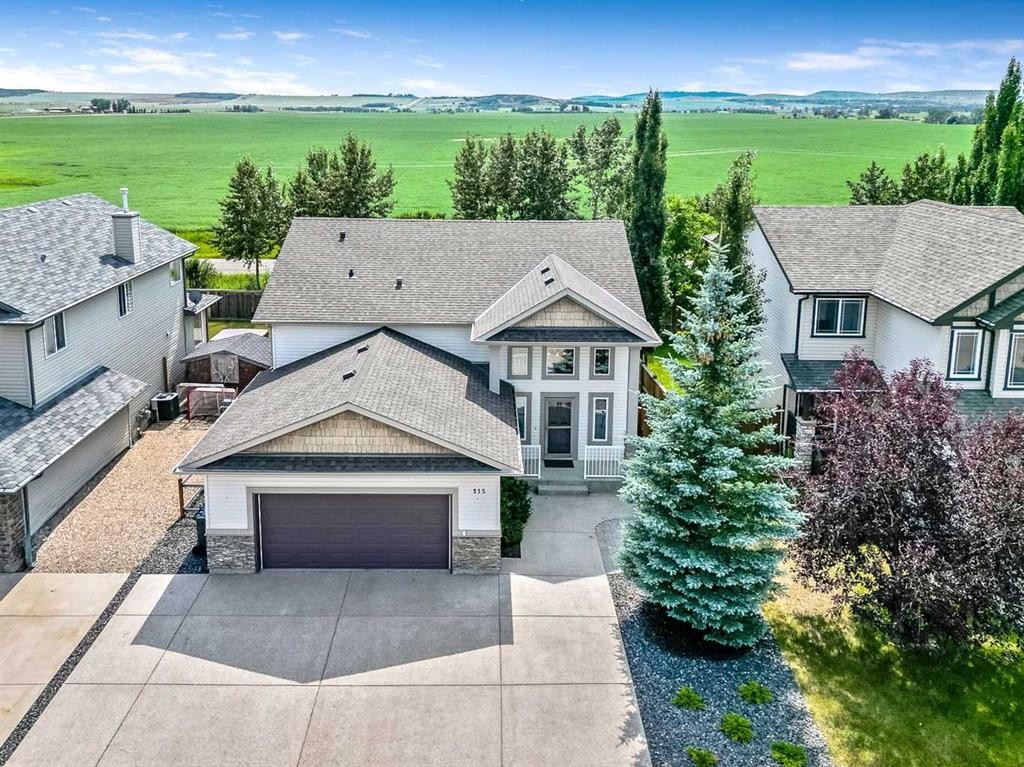 315 Willow Ridge Way, Diamond Valley, AB - Outdoor