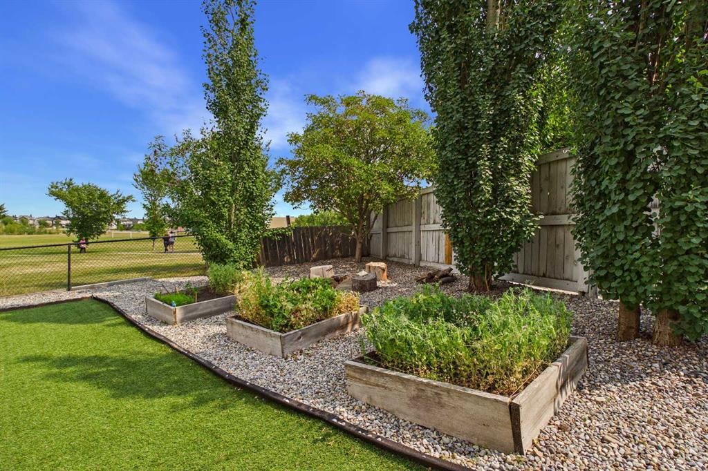 169 Brightonwoods Gardens Se, Calgary, AB - Outdoor