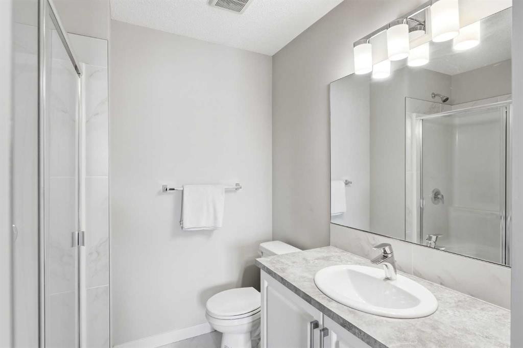 308-32 Red Embers Parade Ne, Calgary, AB - Indoor Photo Showing Bathroom
