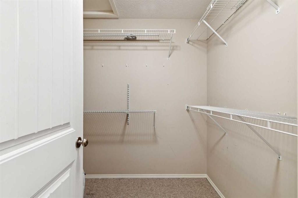 184 Cimarron Park Circle, Okotoks, AB - Indoor With Storage