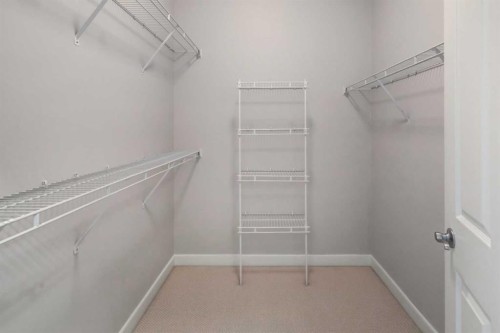 103 Bridle Estates Mews Sw, Calgary, AB - Indoor With Storage