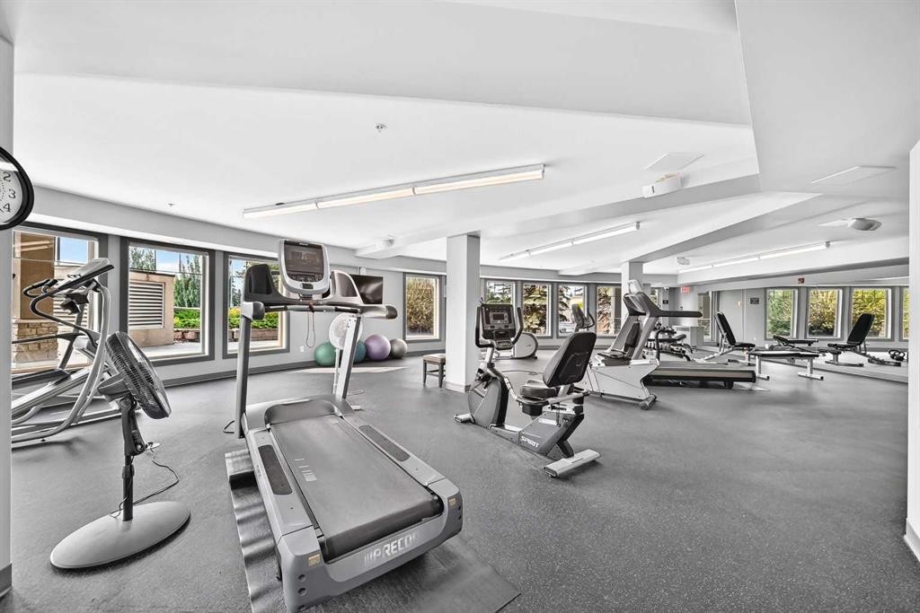 208-30 Cranfield Link Se, Calgary, AB - Indoor Photo Showing Gym Room