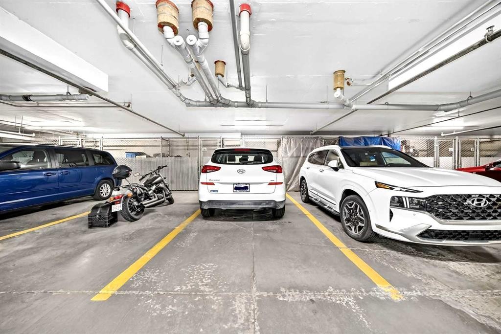 208-30 Cranfield Link Se, Calgary, AB - Indoor Photo Showing Garage
