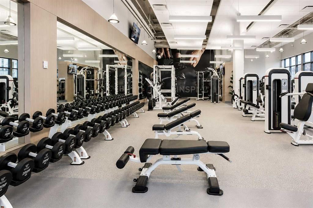 508-24 Mahogany Path Se, Calgary, AB - Indoor Photo Showing Gym Room