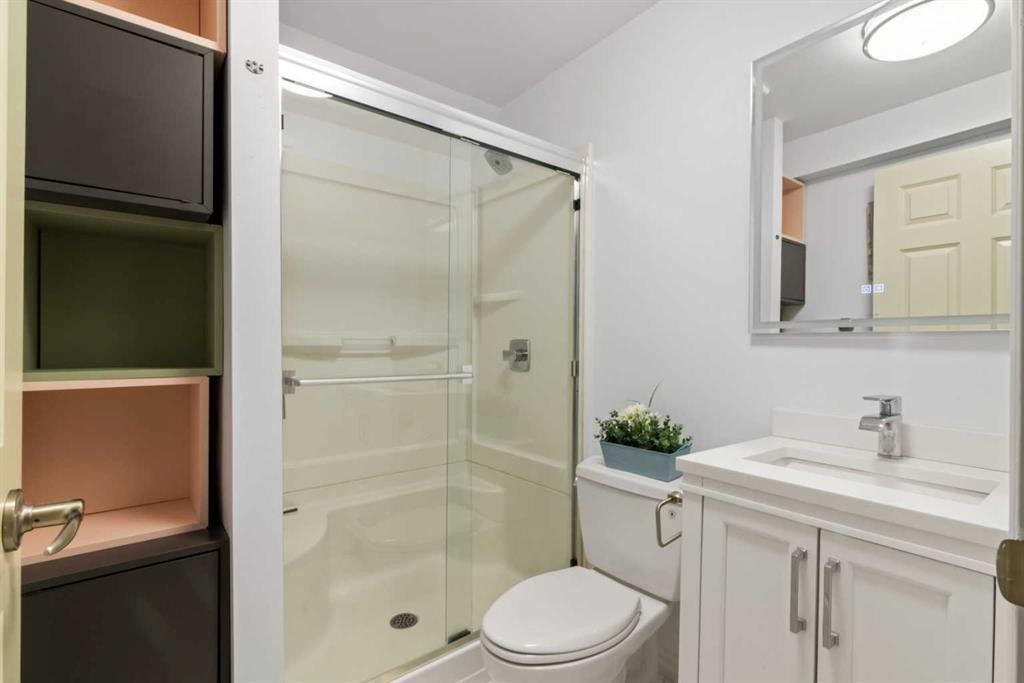 126 Chapman Close Se, Calgary, AB - Indoor Photo Showing Bathroom