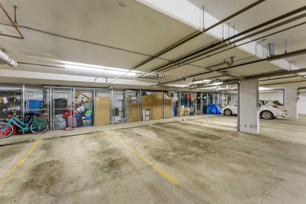 410-35 Walgrove Walk Se, Calgary, AB - Indoor Photo Showing Garage